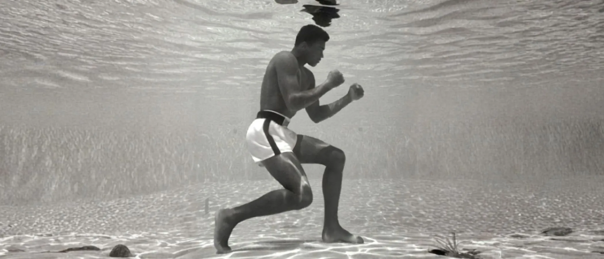 Sales Hit a Wall? The Survival Guide for Persistent Real Estate Agents