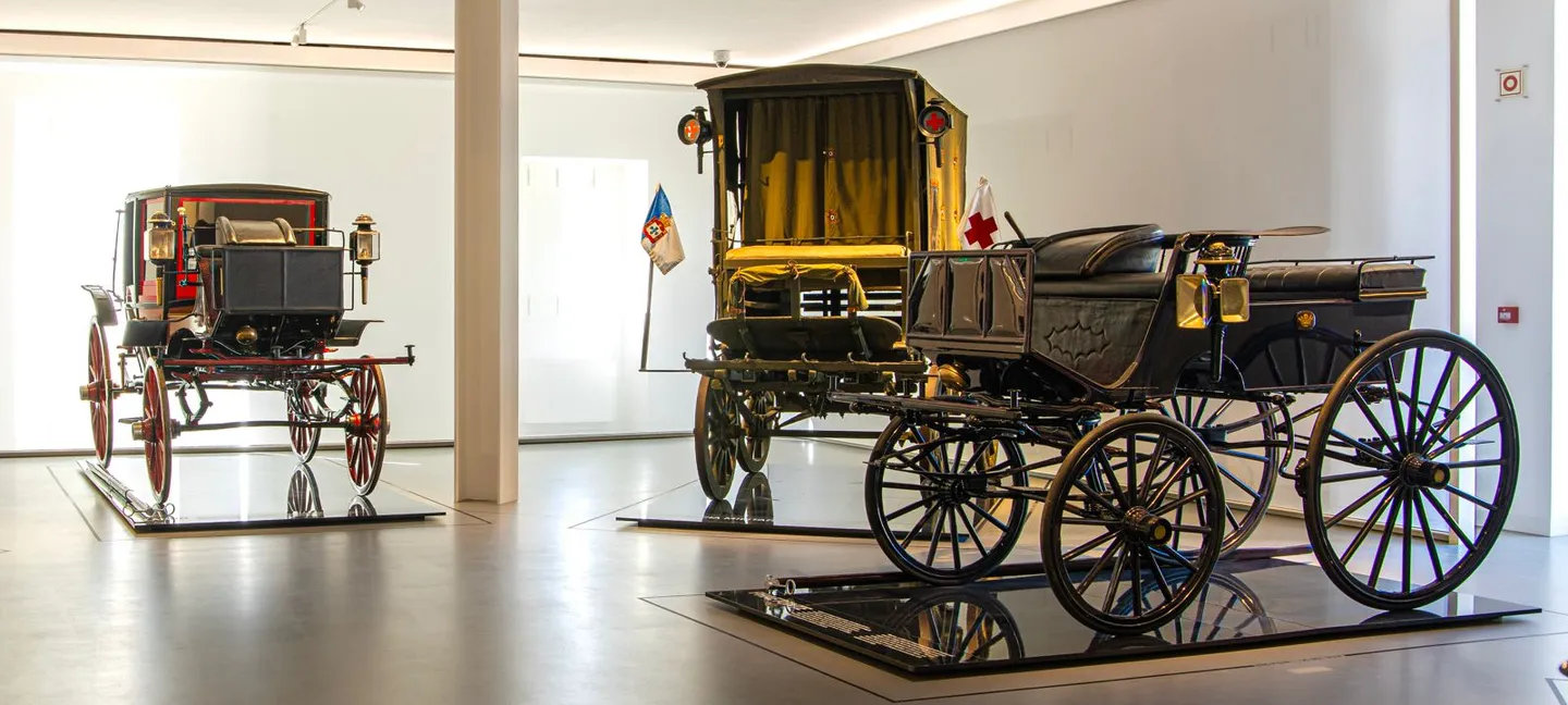Museu de Arte de Atrelagem de Gavião: Património, Elegância e Inovação no Coração do Alto Alentejo