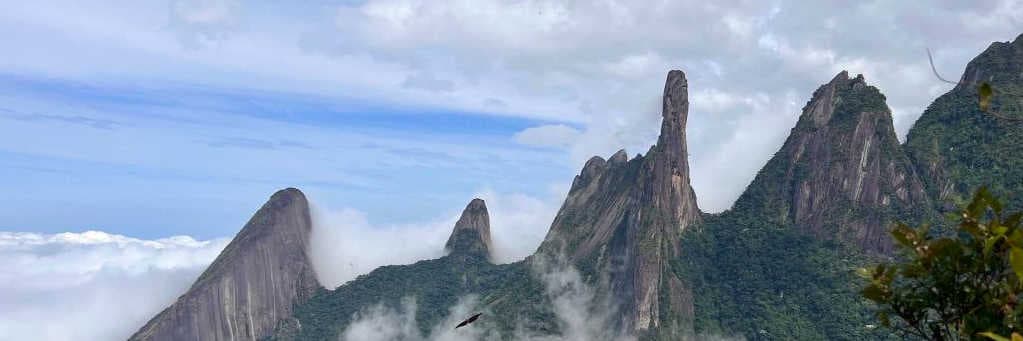 Portada de Regal Imóveis